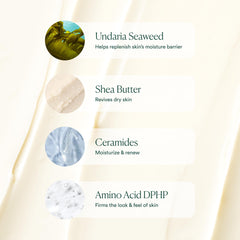OSEA Undaria seaweed ingredient visual highlighting natural nutrients and support