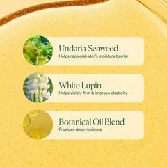 OSEA label detail showing formulation info and clean skincare transparency