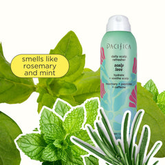 Pacifica rosemary and mint botanicals highlighting natural extracts that refresh the scalp