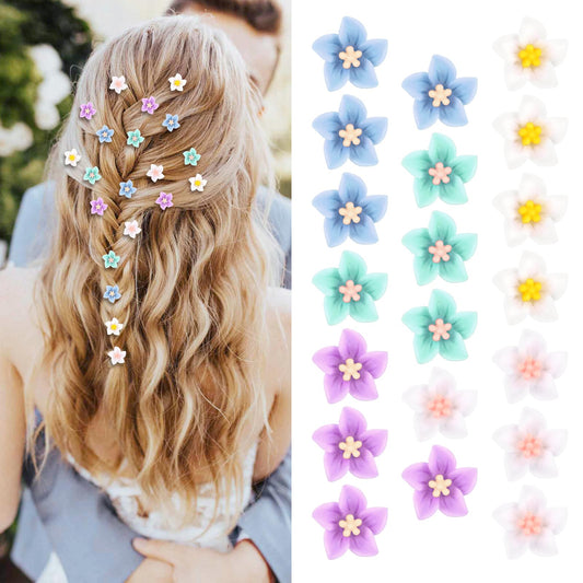 Paderison front packaging showing twenty colorful flower clips for styling