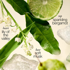 philosophy side label detail highlighting ingredients and premium finish