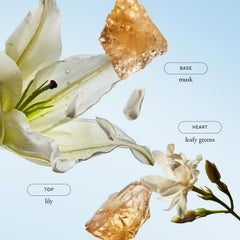 philosophy pouring creamy gel texture highlights moisturizing formula