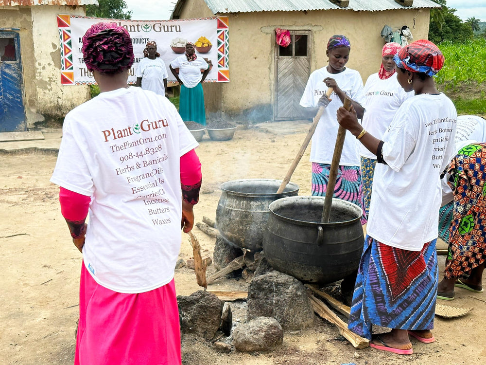 Plant Guru harvested shea nuts in Ghana showing traditional sourcing and traceability
