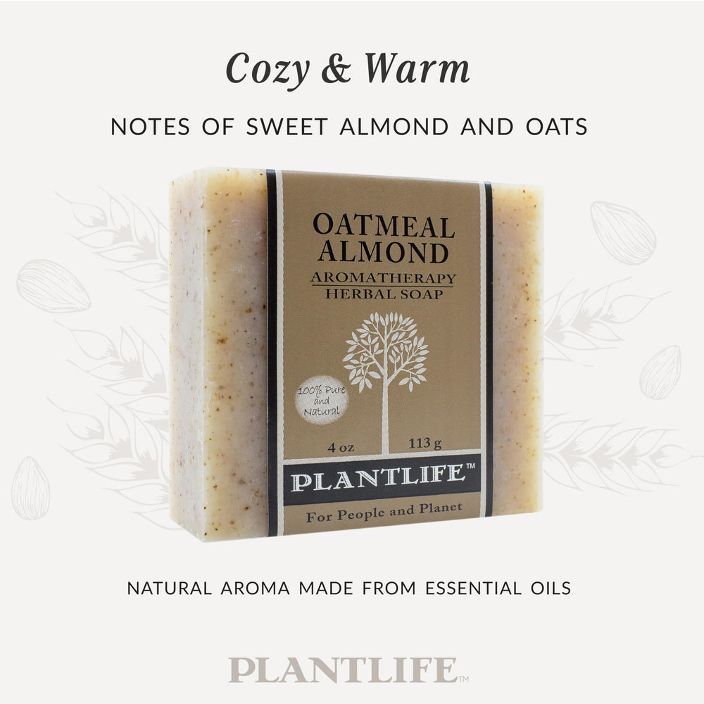 Plantlife detail of ground almonds offering gentle exfoliation