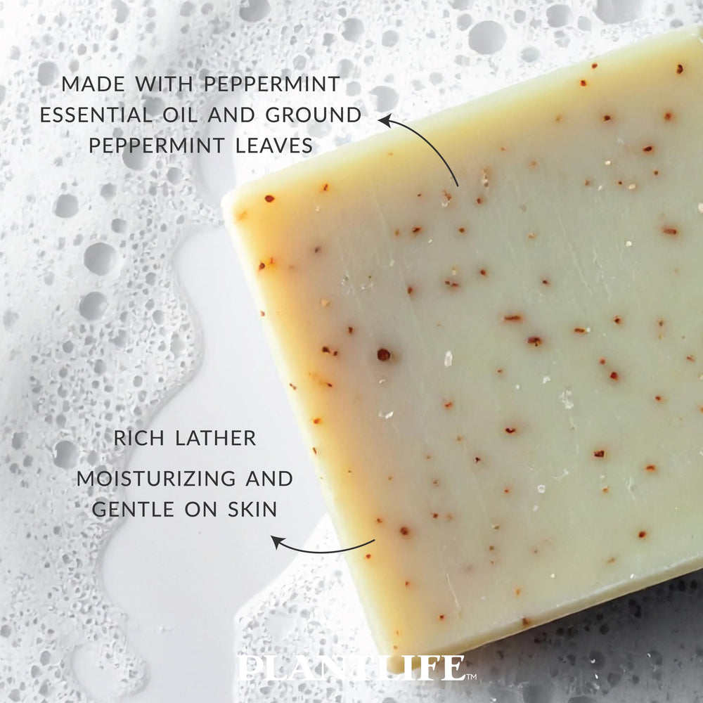 Plantlife soap in hand for scale and easy travel-friendly benefit