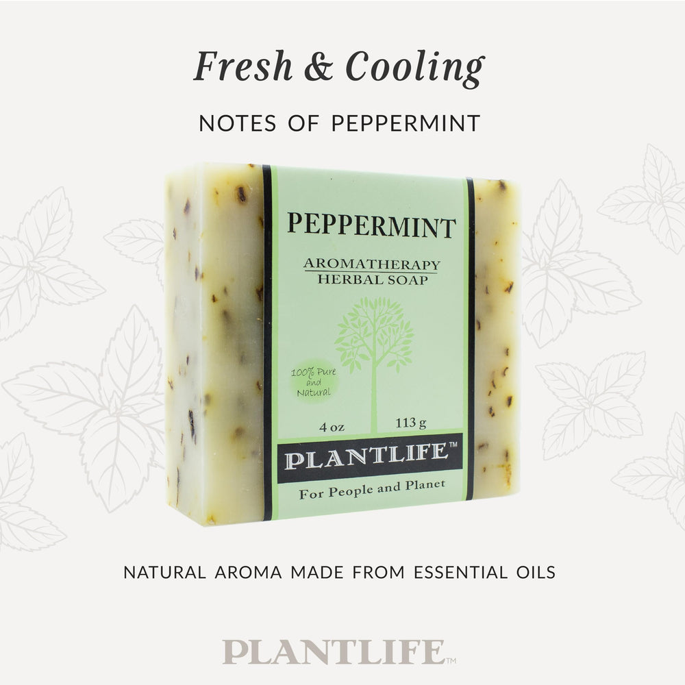 Plantlife ingredients flatlay with peppermint and botanicals for transparency