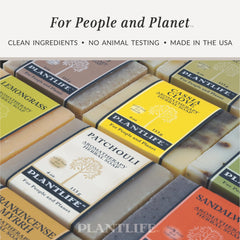 Plantlife bar with raw botanicals showing plant-based ingredients