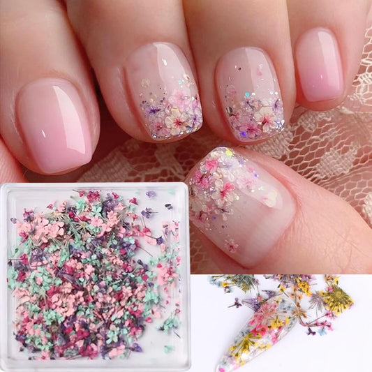 POWPOP clear box front view showing organized dried flowers and easy selection benefit