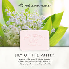 Pre de Provence bar styled in gift basket suggesting luxury present idea