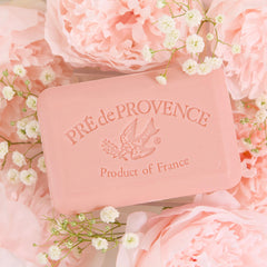 Pre de Provence with shea butter ingredient display indicating nourishing conditioning benefits