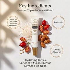 Premier cuticle oil next to ruler showing 20ml size and travel-ready convenience benefit