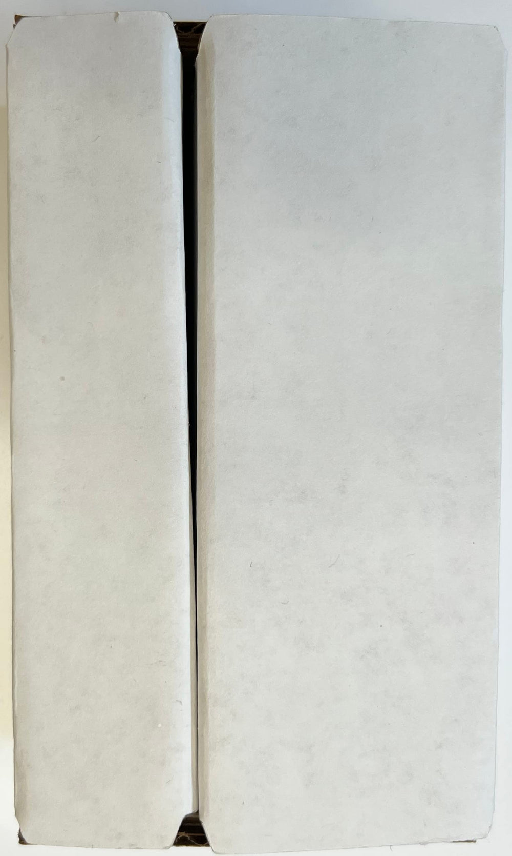 PRIME NATURAL 120ml bottle next to a ruler for accurate size