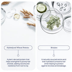 PUREANCE pump detail for easy dispensing and mess-free benefit
