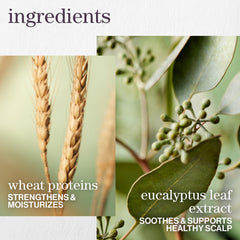 Pureology hydrate sheer jojoba and botanicals close-up conveying natural conditioning
