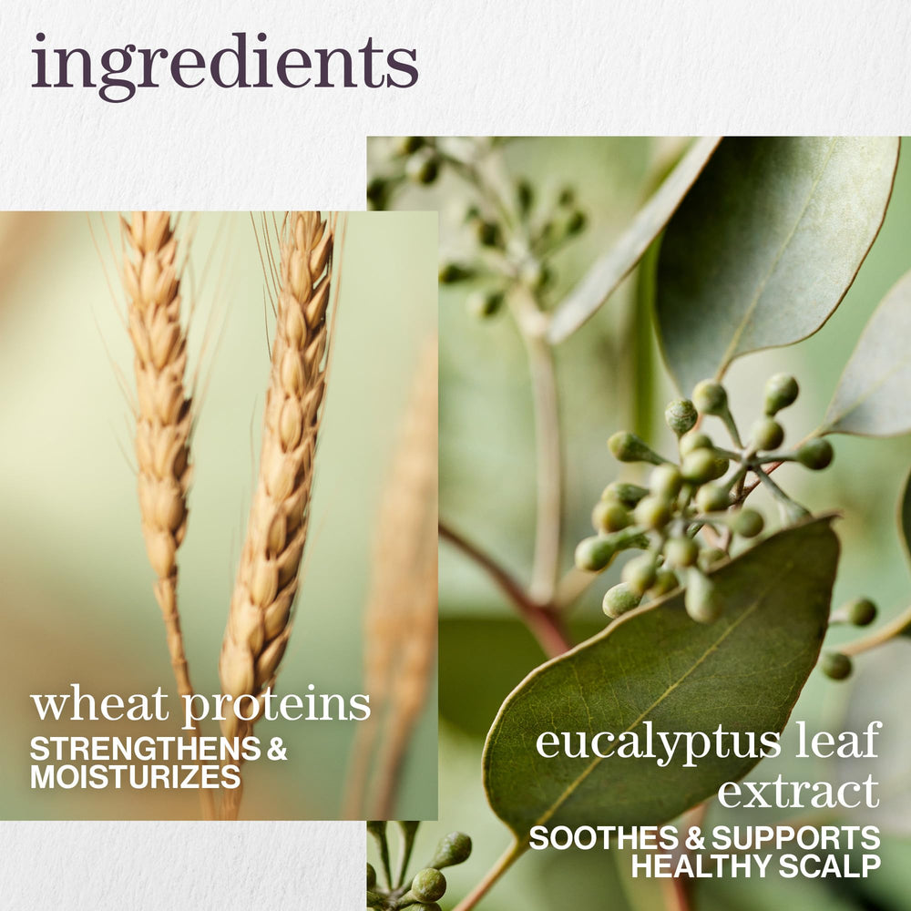 Pureology ingredients spread with jojoba and green tea highlighting natural benefits