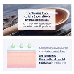 Pyunkang Yul cleansing foam staged in bathroom to suggest daily routine benefit