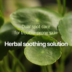 Pyunkang Yul patch applied on cheek protecting a blemish while invisible