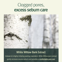 Pyunkang Yul ingredient visual with centella and willow bark for soothing