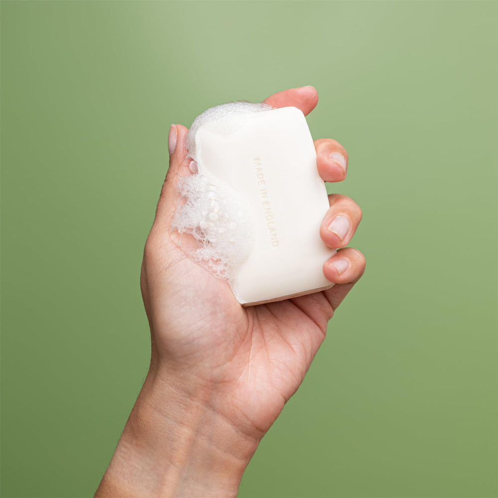 REVITALE ingredient display with ceramides and hyaluronic acid for barrier support