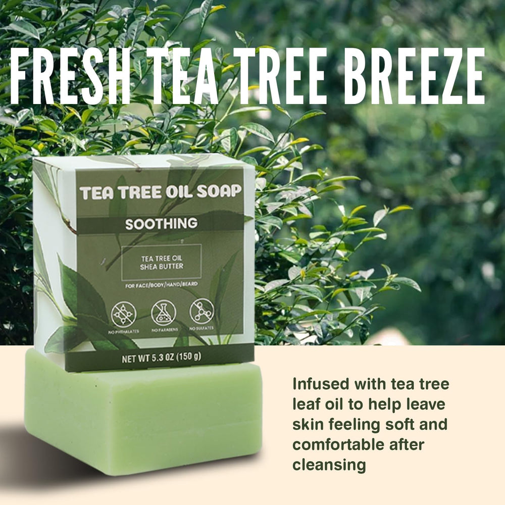 Rinse & Robust shea butter and tea tree visual emphasizing moisturizing, natural ingredient benefits