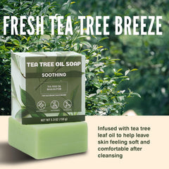 Rinse & Robust shea butter and tea tree visual emphasizing moisturizing, natural ingredient benefits