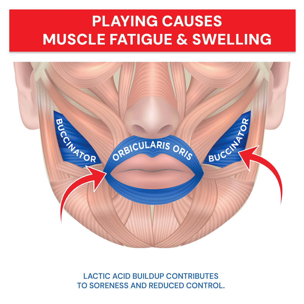 Robinson's Remedies Lip Renew close-up of balm texture illustrating fast absorption benefit