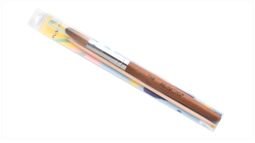 Rolabling brush stored in case protecting bristles and extending tool lifespan