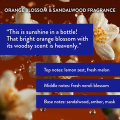 Routine Wellness conditioner cream consistency close-up for detangling and smoothness