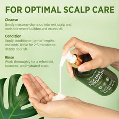 Roycederm close-up of tea tree and salicylic acid ingredients clarifying scalp