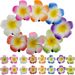 ROYHOO front packaging view showing colorful foam flower clips and quantity benefit