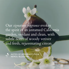 RŌZ 60ml bottle next to common objects showing compact travel-friendly benefit