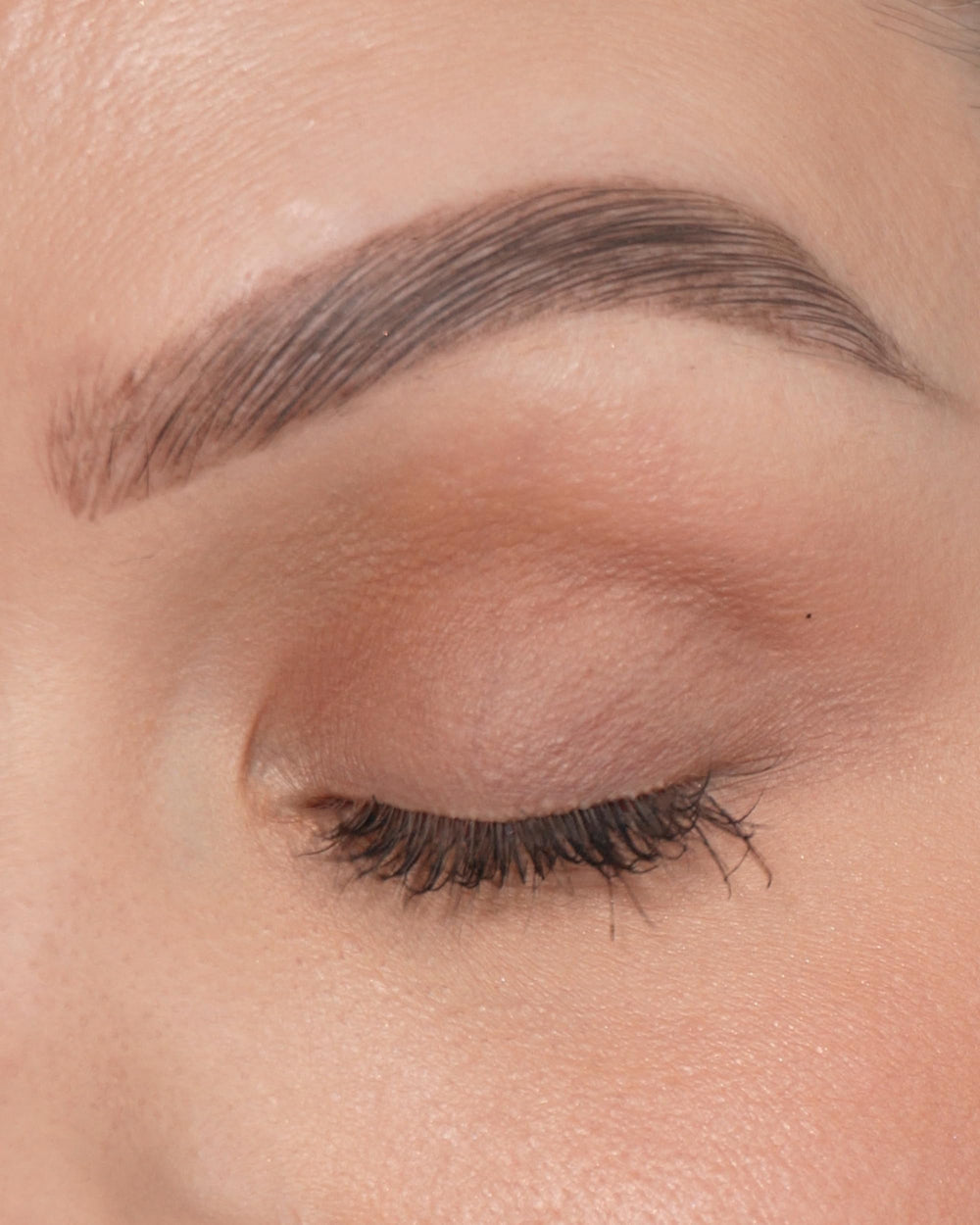 Sandstone Scandinavia close-up texture of finely milled mocha powder for smooth blending