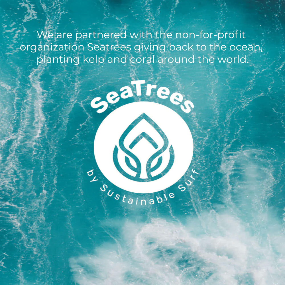 Sea-El serum being brushed across eyelashes showing gentle application and even coverage