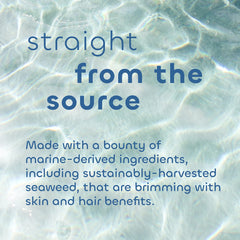 Seaweed Bath Co. 2 oz tube beside a coin for scale showing compact travel size