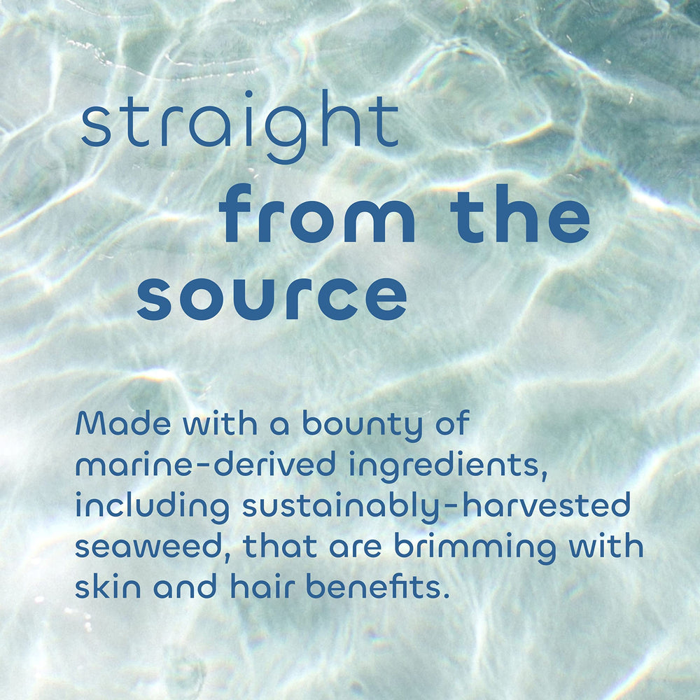 Lifestyle shot with eucalyptus leaves and peppermint sprig showcasing Seaweed Bath Co. uplifting scent