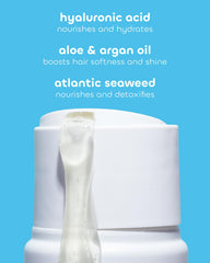 Seaweed Bath Co. seaweed aloe argan trio of ingredients showing nourishing benefits
