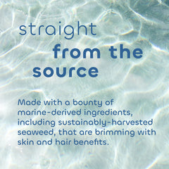 Seaweed Bath Co. shampoo foamed on palm demonstrating creamy texture and hydration