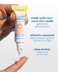 Seaweed Bath Co. ingredient close-up with seaweed and kelp illustrating natural nourishment