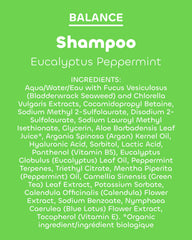 Seaweed Bath Co. shampoo in a shower lifestyle scene conveying invigorating morning boost