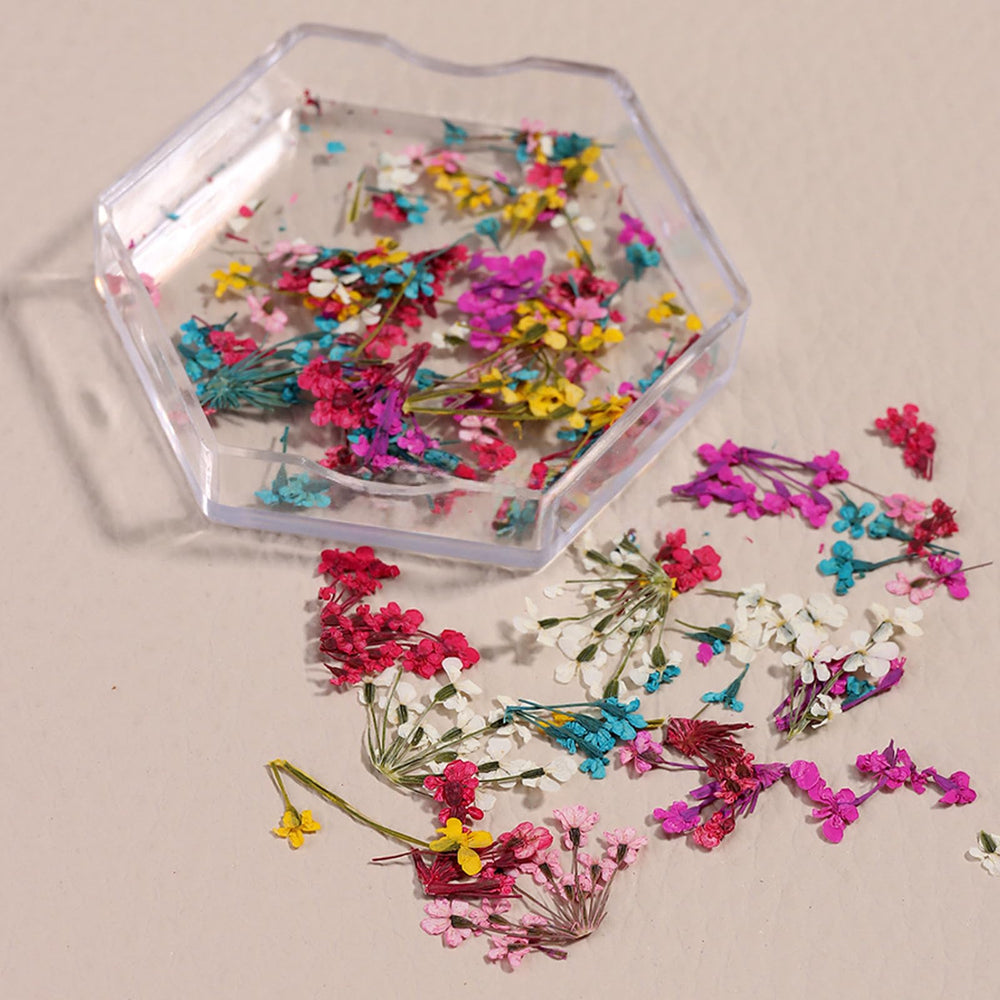 SILPECWEE opened box display with organized dried flowers for quick crafting