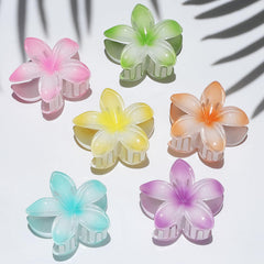 Sisiaipu assorted colors laid flat highlights variety and outfit-matching ease