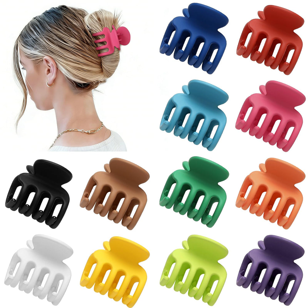 Sisiaipu gift-ready arrangement showing colorful clips as presentable gift