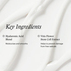 Flatlay of SkinMedica cream with botanical extracts highlighting active ingredients