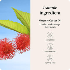 Sky Organics applied to scalp demonstrating targeted nourishment and easy massage