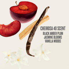 Sol de Janeiro label closeup showing product names and ingredient clarity for informed use