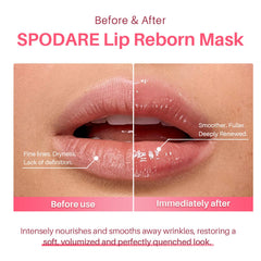 SPODARE gel spread on finger showing lightweight smooth texture for easy, non-sticky application