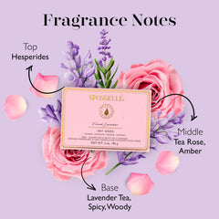 SPONGELLÉ soap core revealed inside buffer demonstrating creamy lather and cleansing benefit
