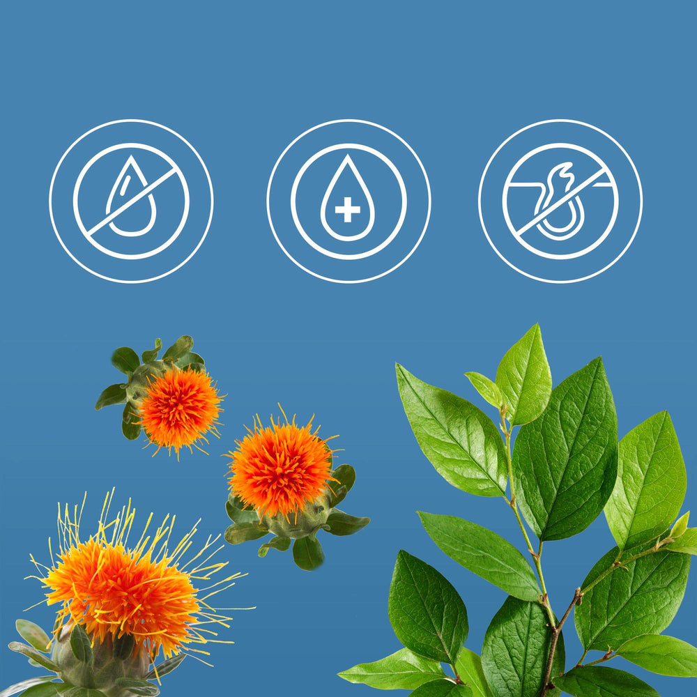 St. Ives safflower seed and botanical graphic highlighting natural oils