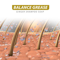 Starhig ginger and camellia ingredients displayed to show natural formulation