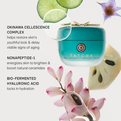 Jar held in hand for scale showing TATCHA cream size and portable everyday skincare convenience